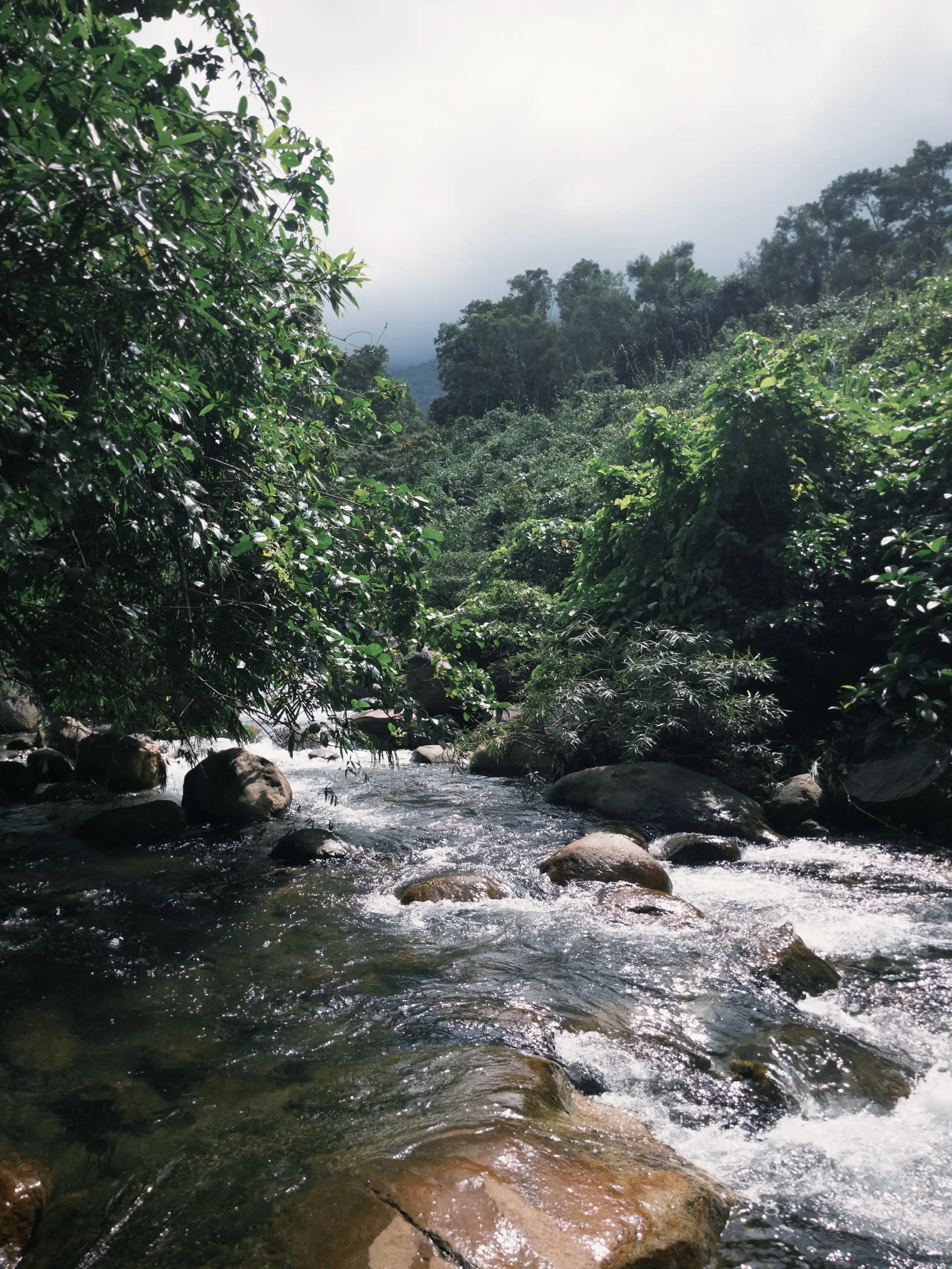 Hai Van Pass (Half day) — photo 2