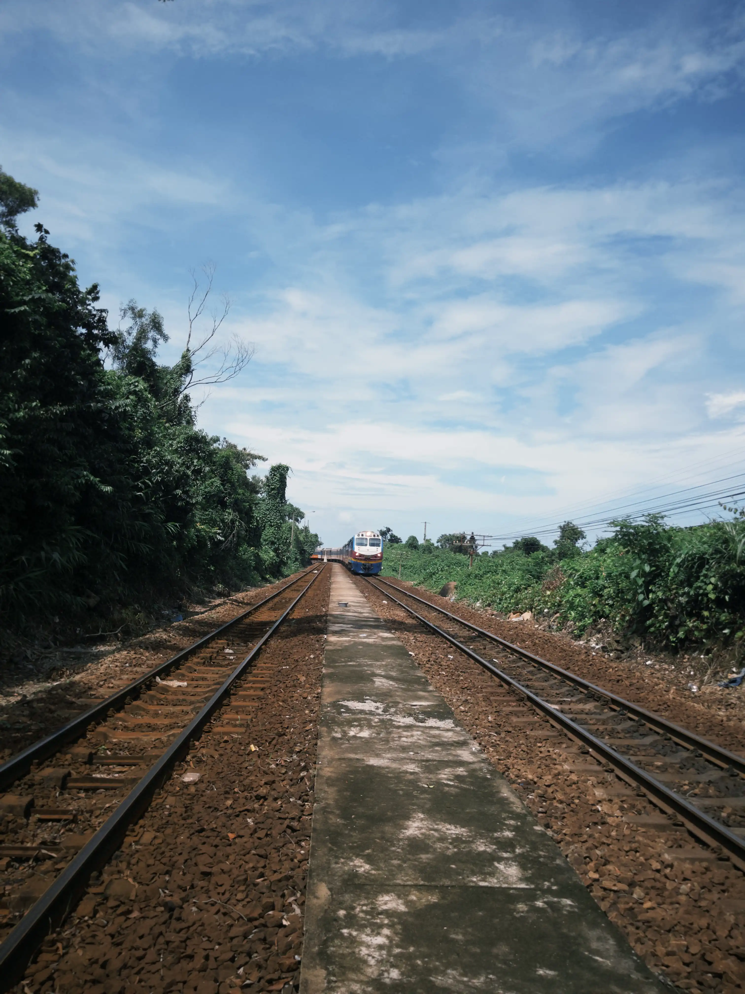 Hai Van Pass (Half day) — photo 9