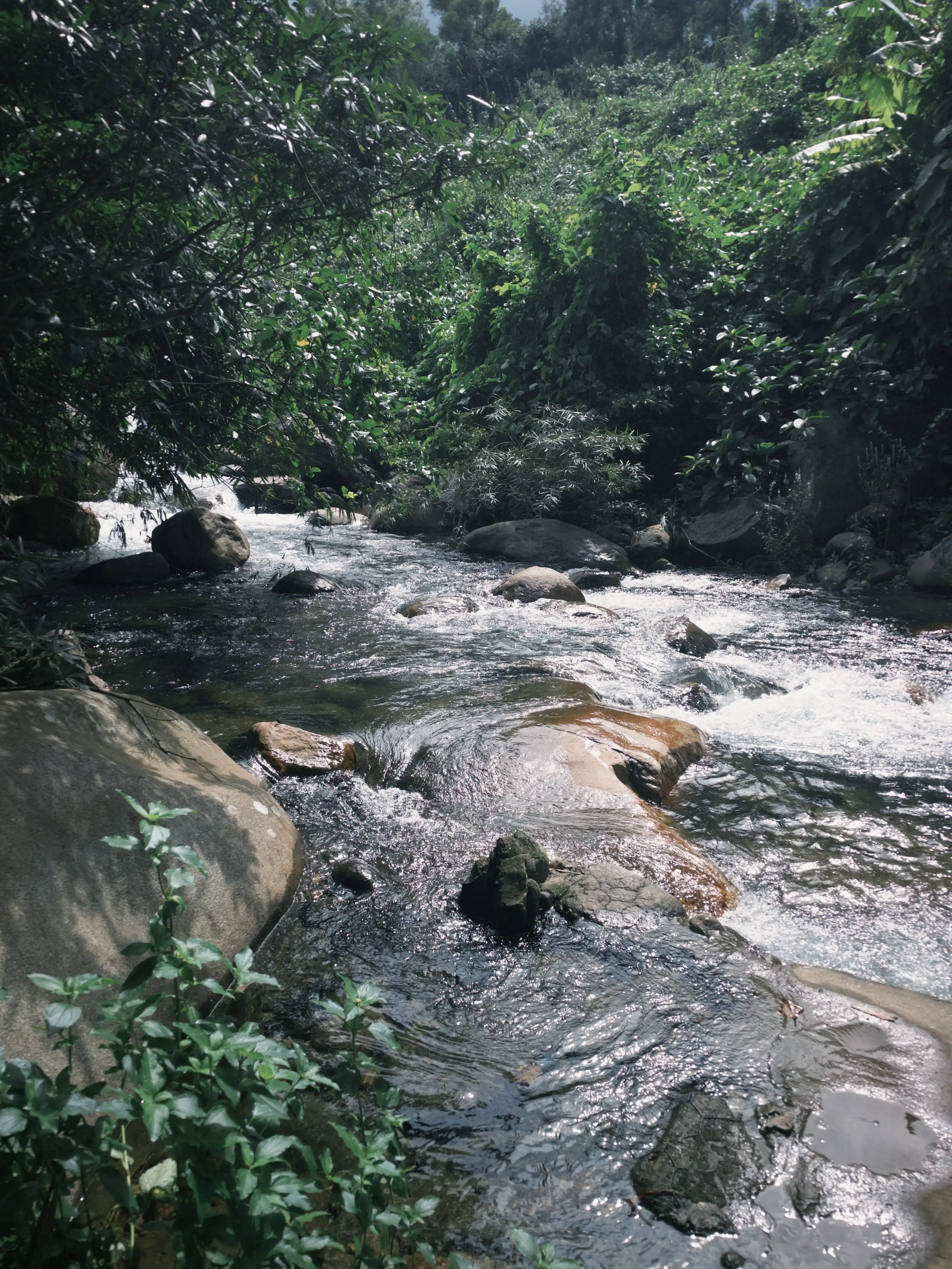Hai Van Pass (Half day) — photo 16