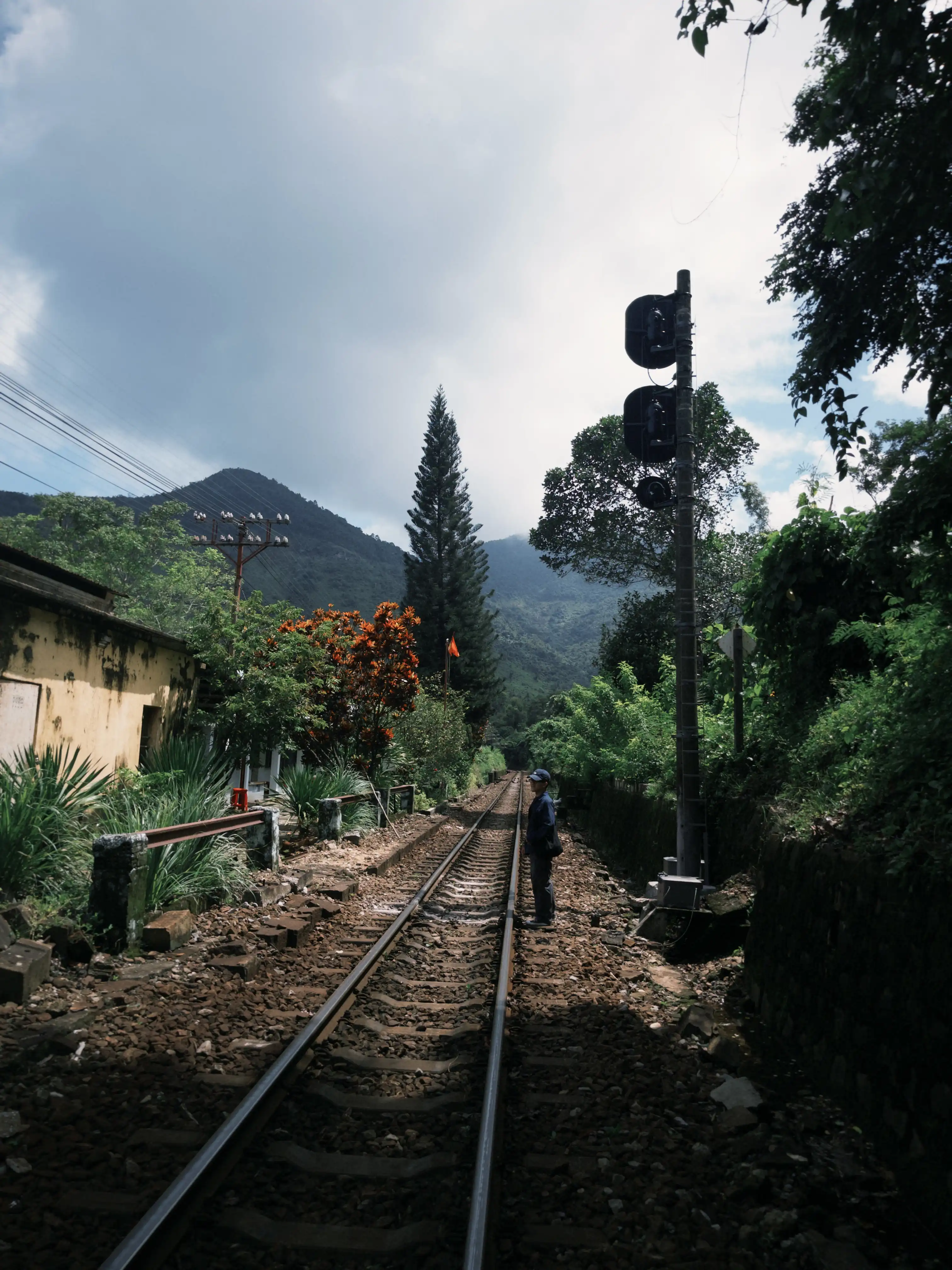 Hai Van Pass (Half day) — photo 15