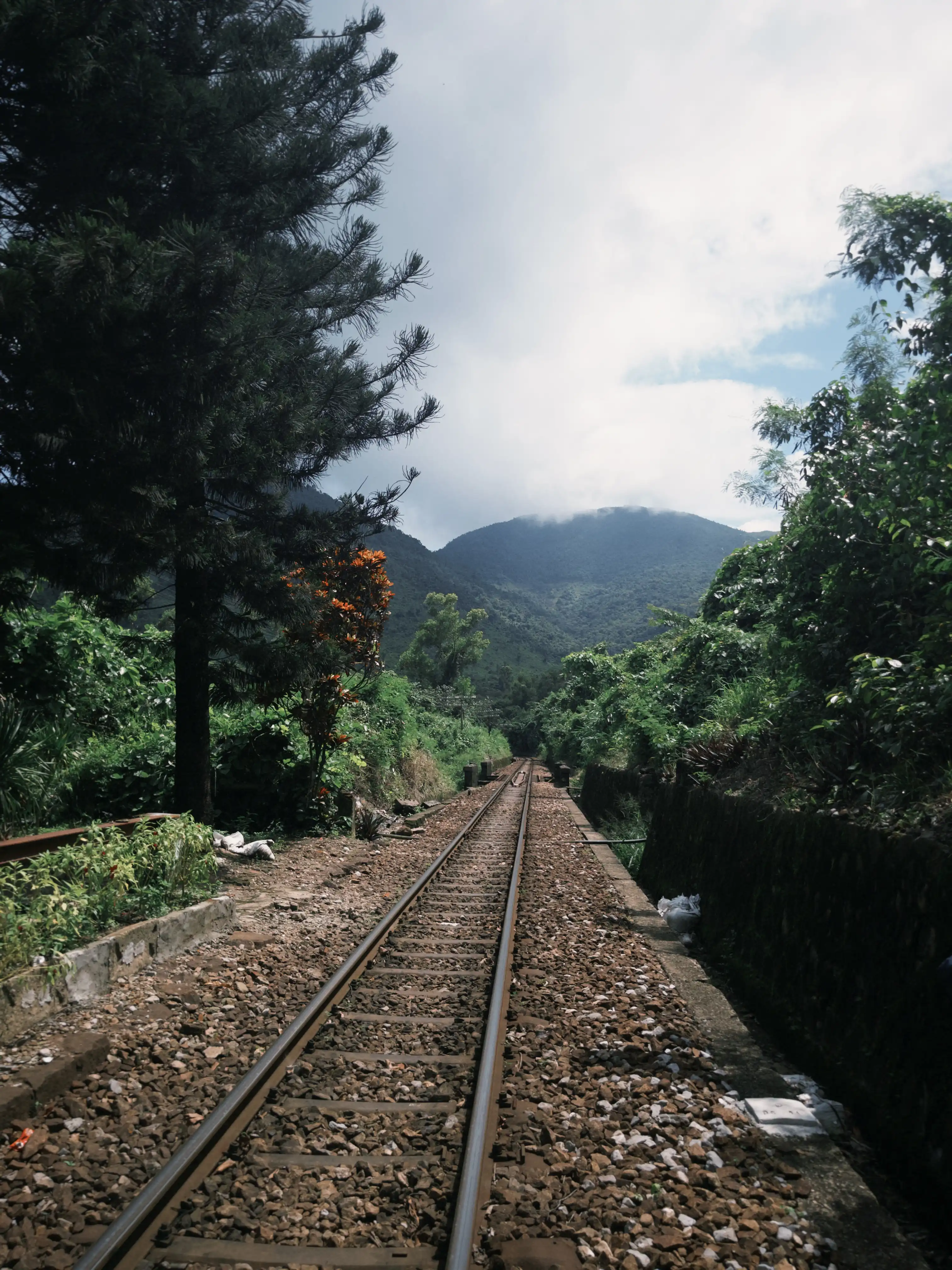 Hai Van Pass (Half day) — photo 18
