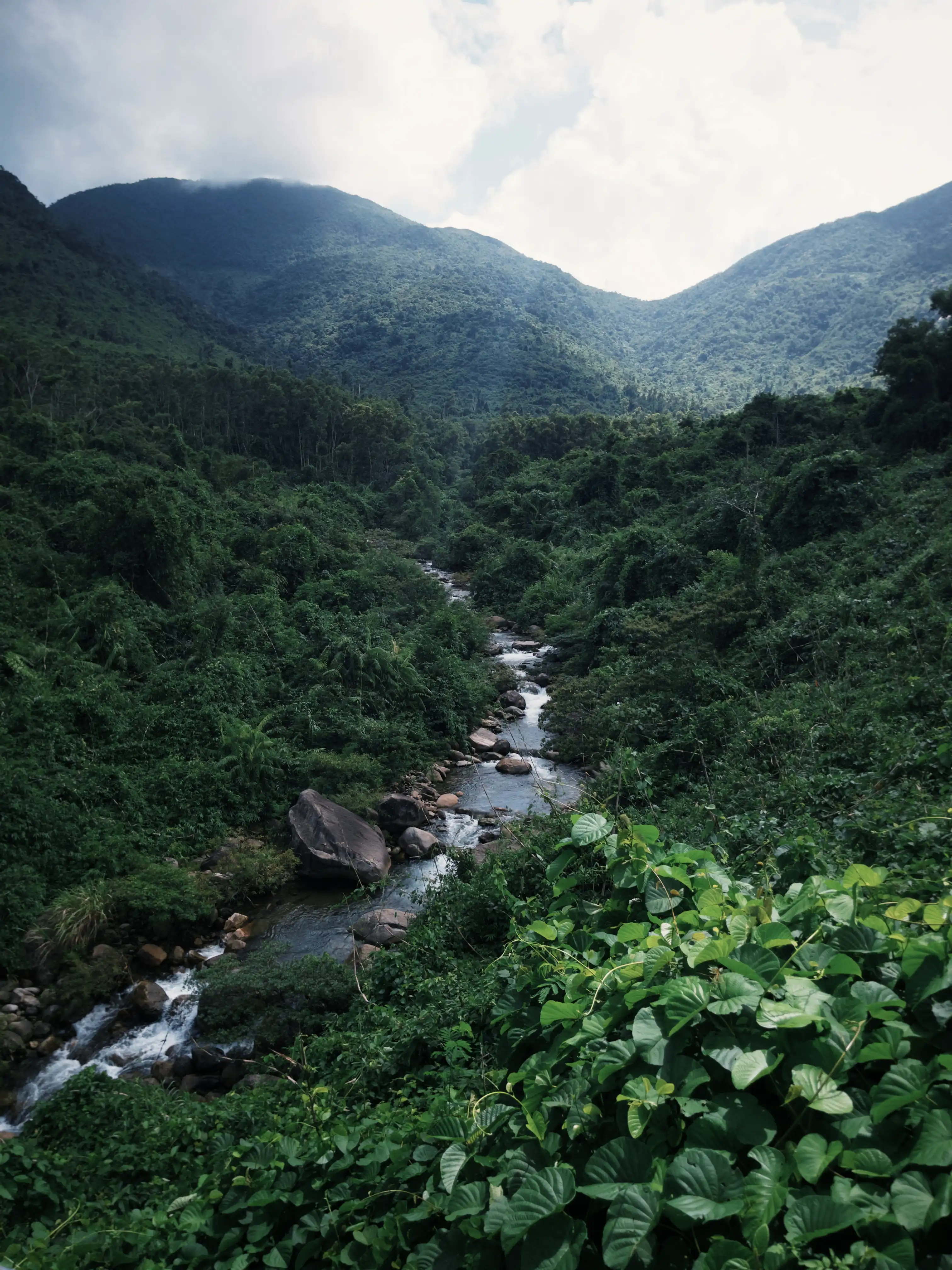 Hai Van Pass (Half day) — photo 19