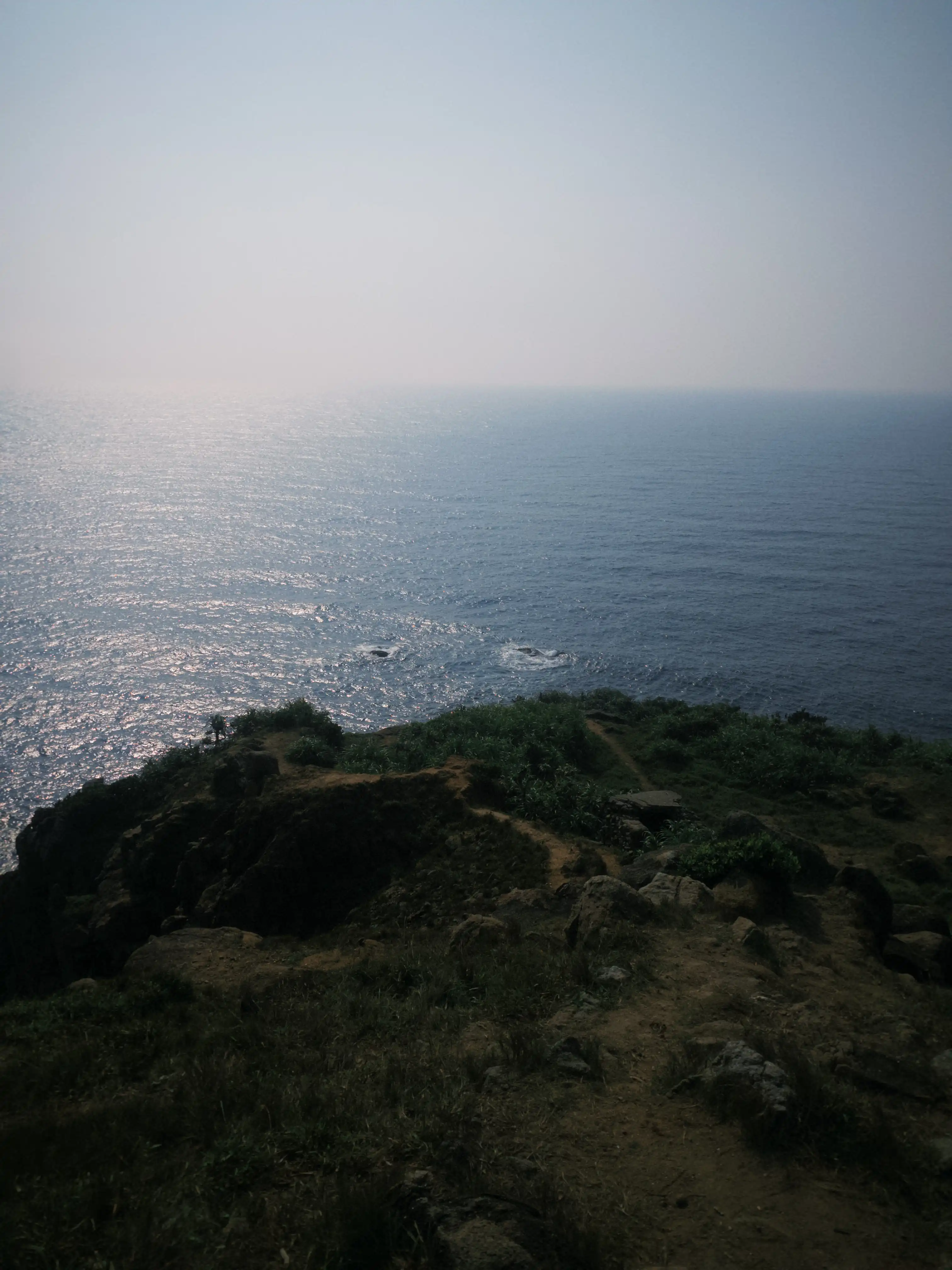 Son Tra Peninsula (Ancient tree + Peaceful Bay) — photo 1