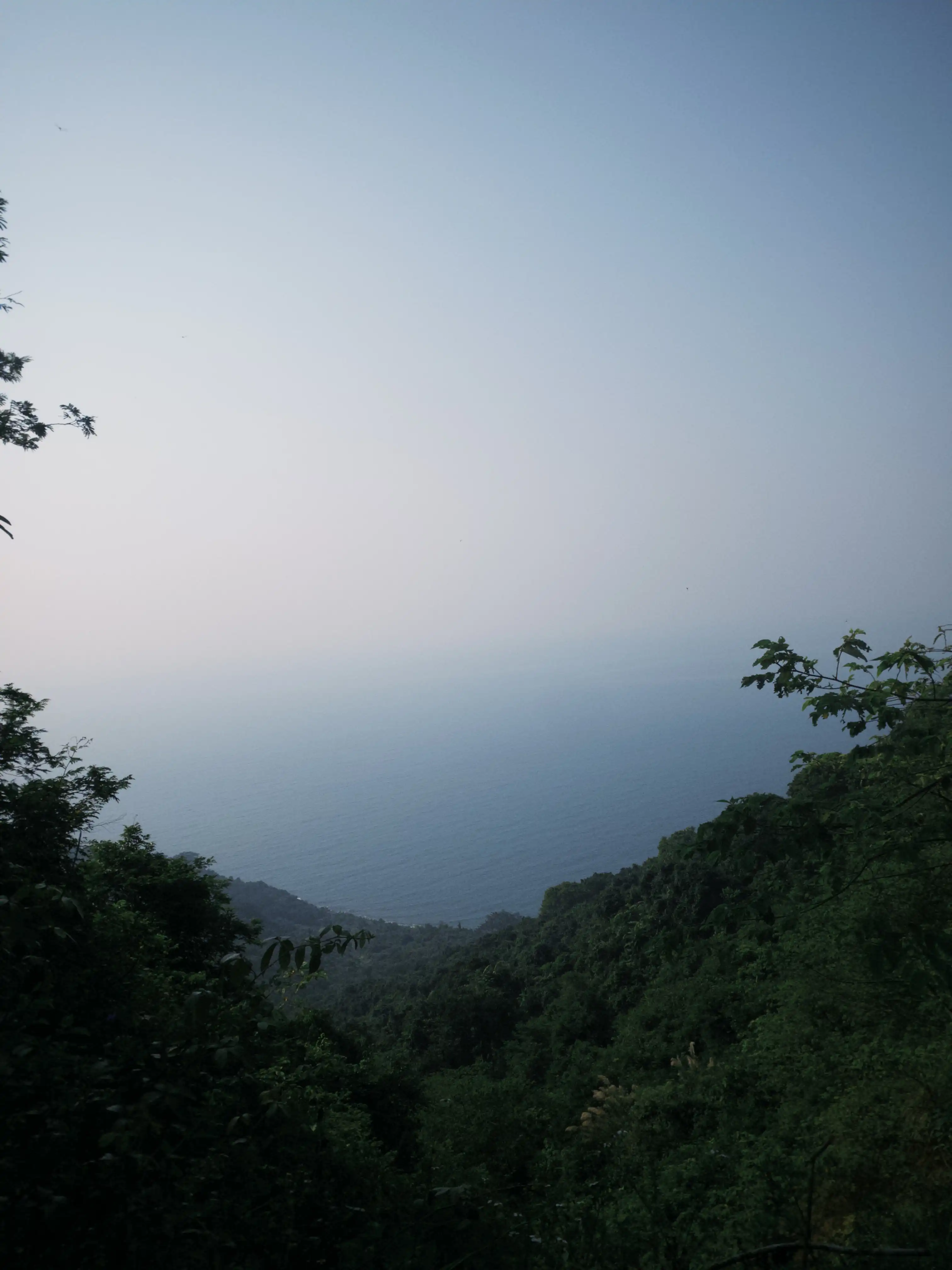 Son Tra Peninsula (Ancient tree + Peaceful Bay) — photo 5
