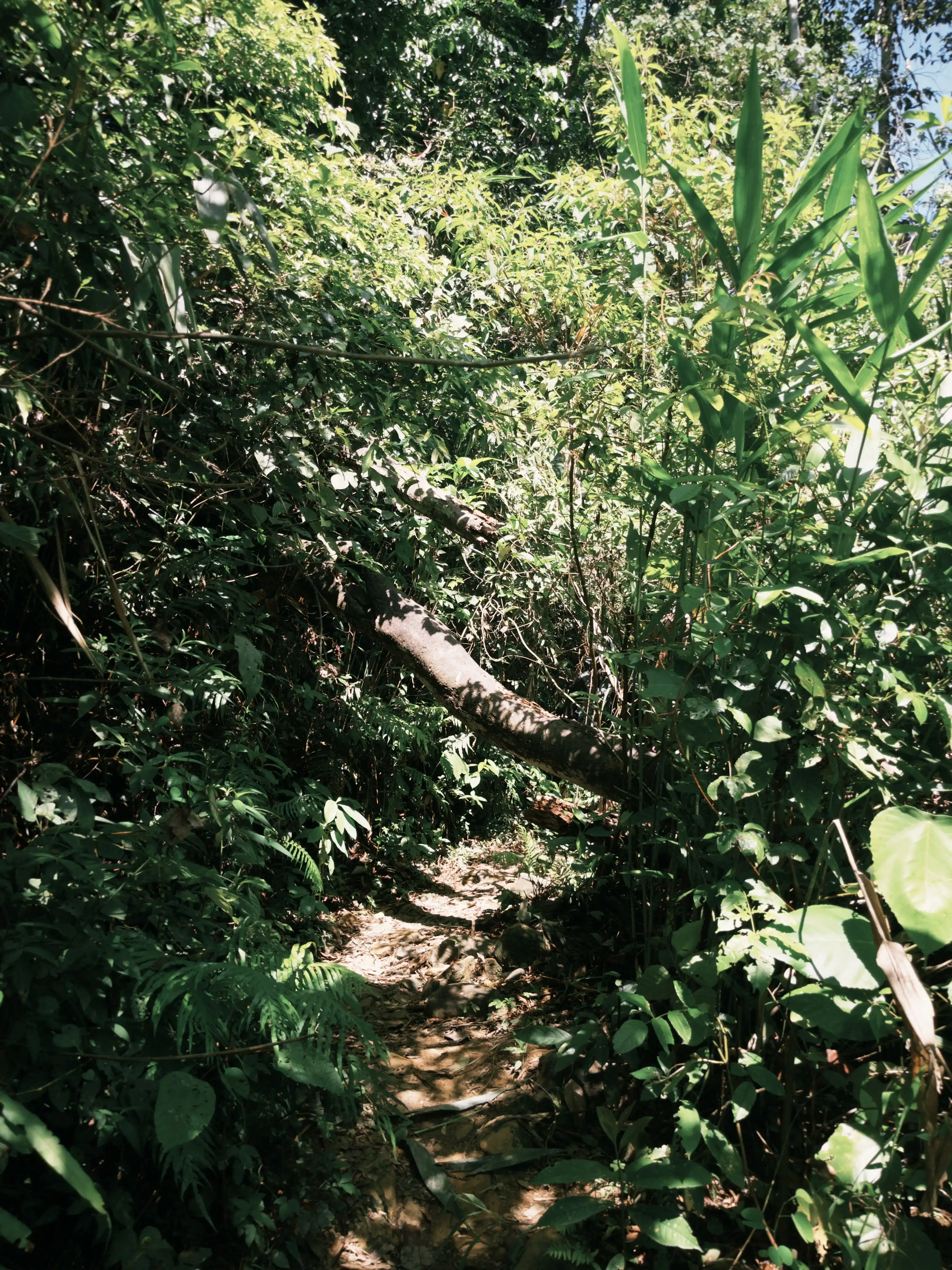 Da Nang outskirt (waterfall and stunning canyon) — photo 4