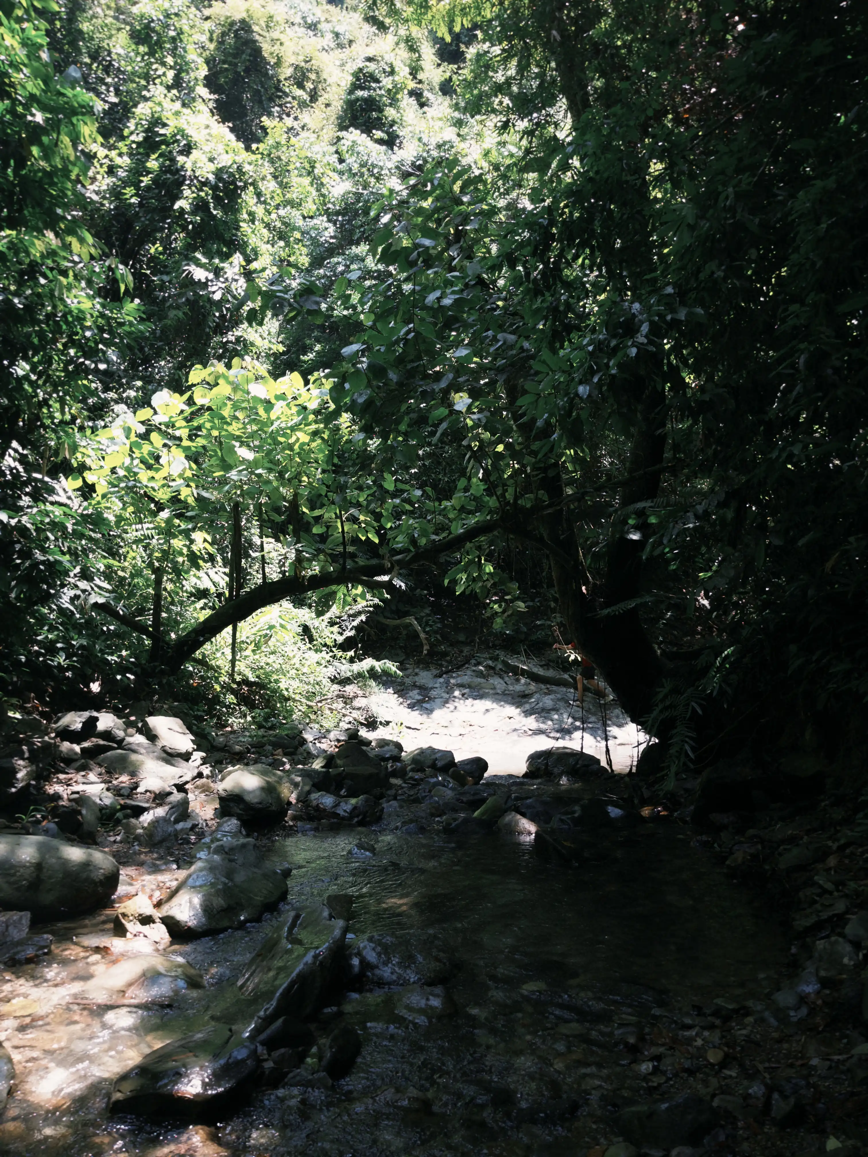 Da Nang outskirt (waterfall and stunning canyon) — photo 12