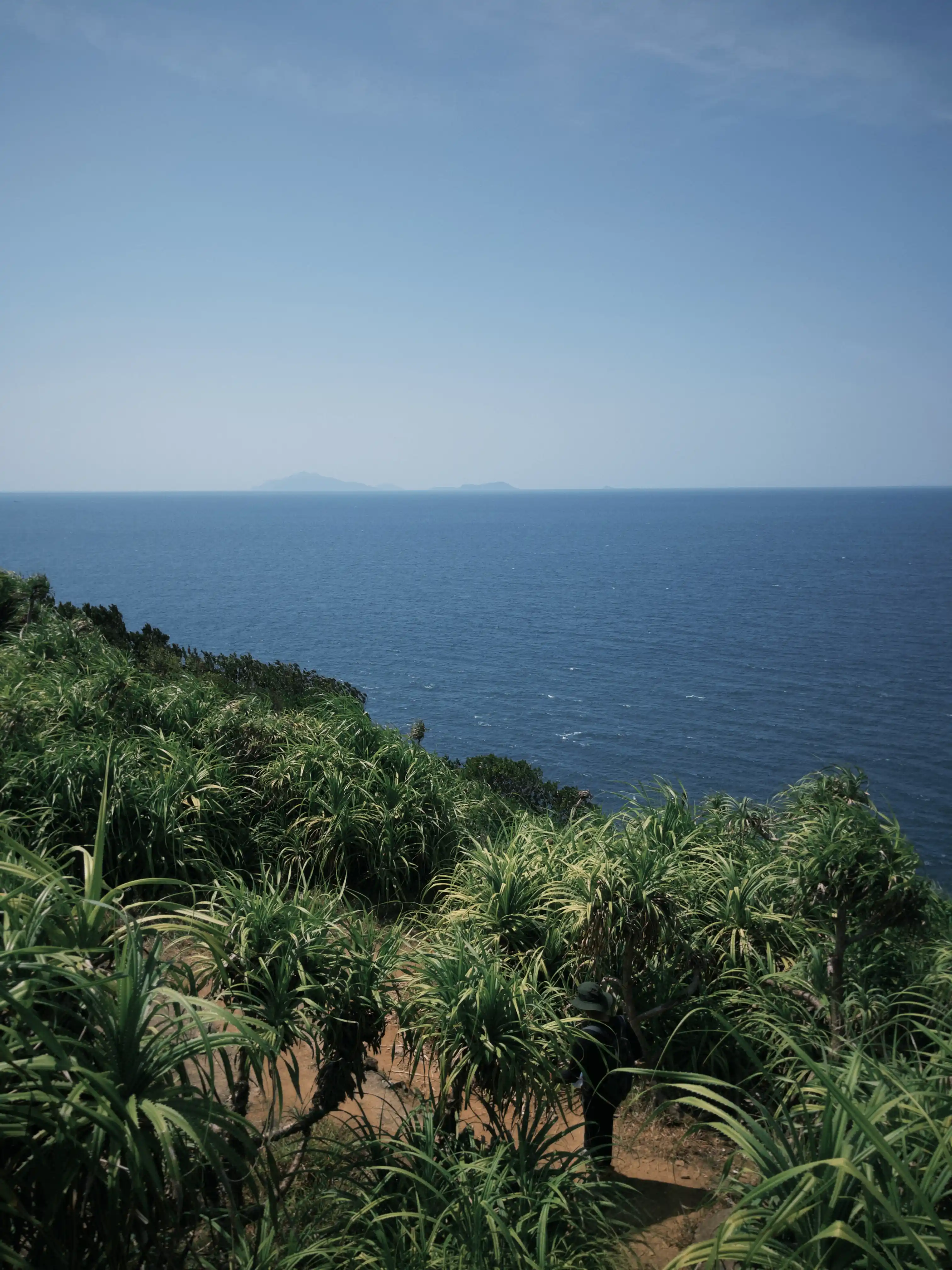 Son Tra Peninsula (Ancient tree + Peaceful Bay) — photo 12