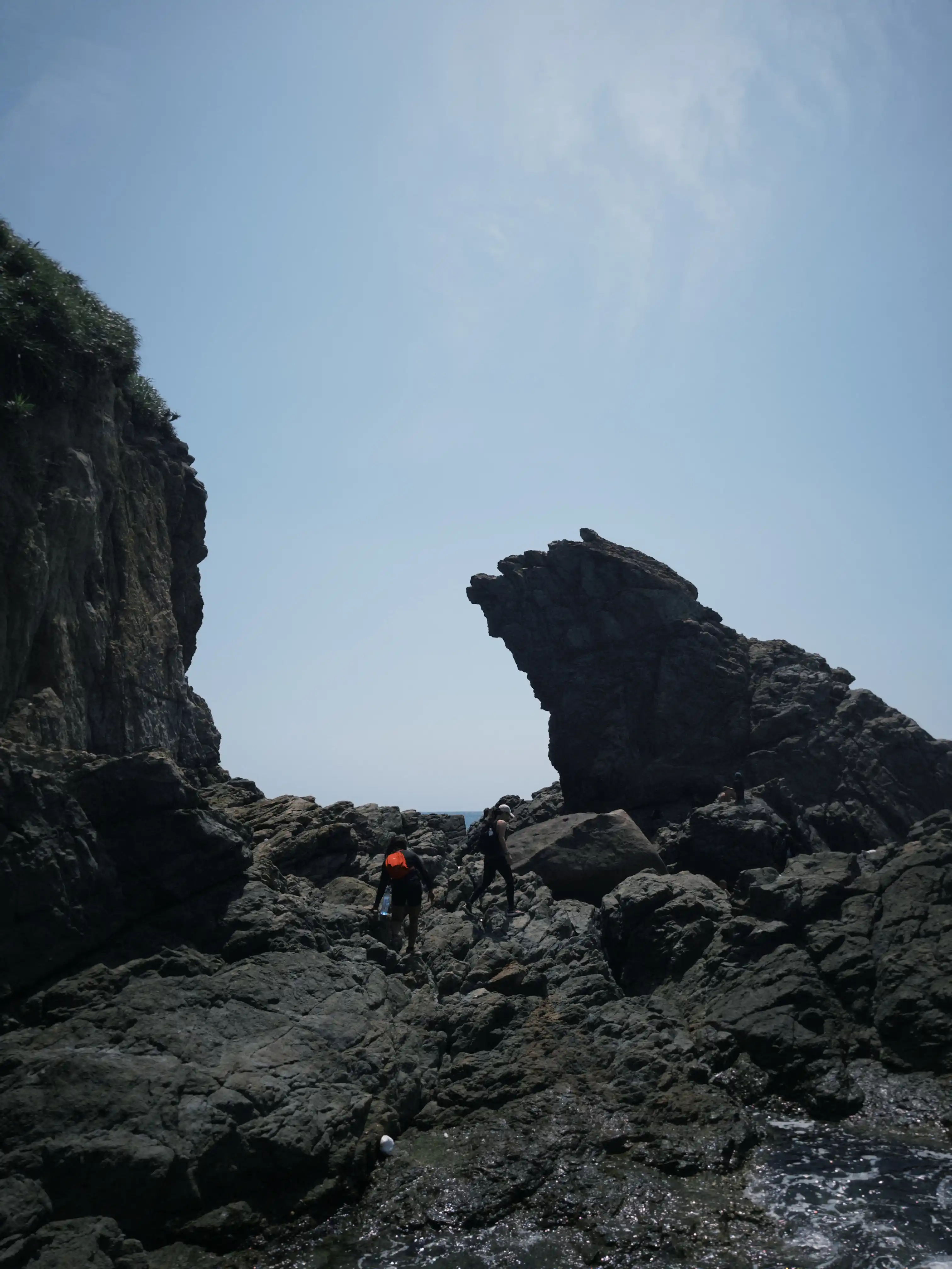 Son Tra Peninsula (Ancient tree + Peaceful Bay) — photo 14