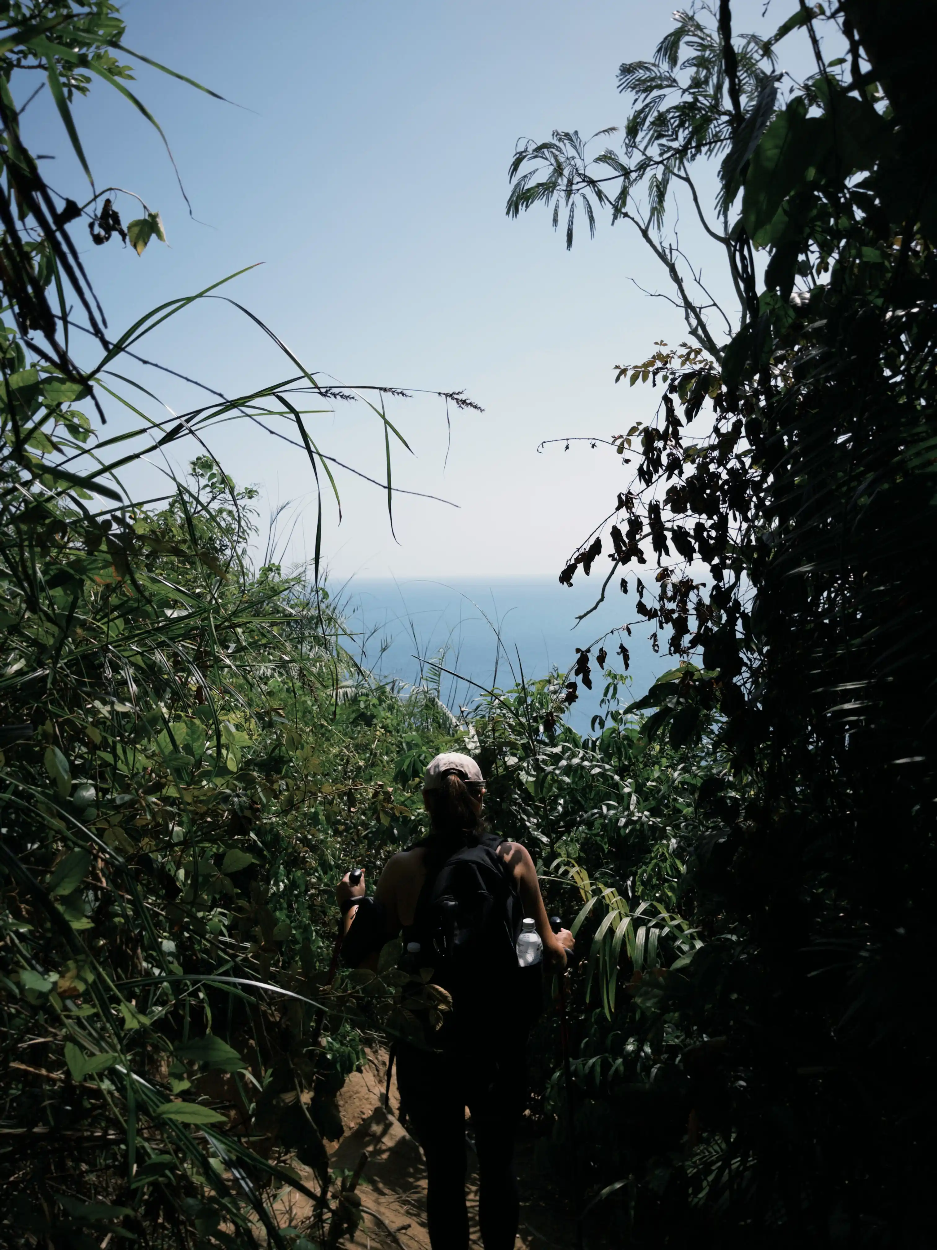 Son Tra Peninsula (Ancient tree + Peaceful Bay) — photo 19