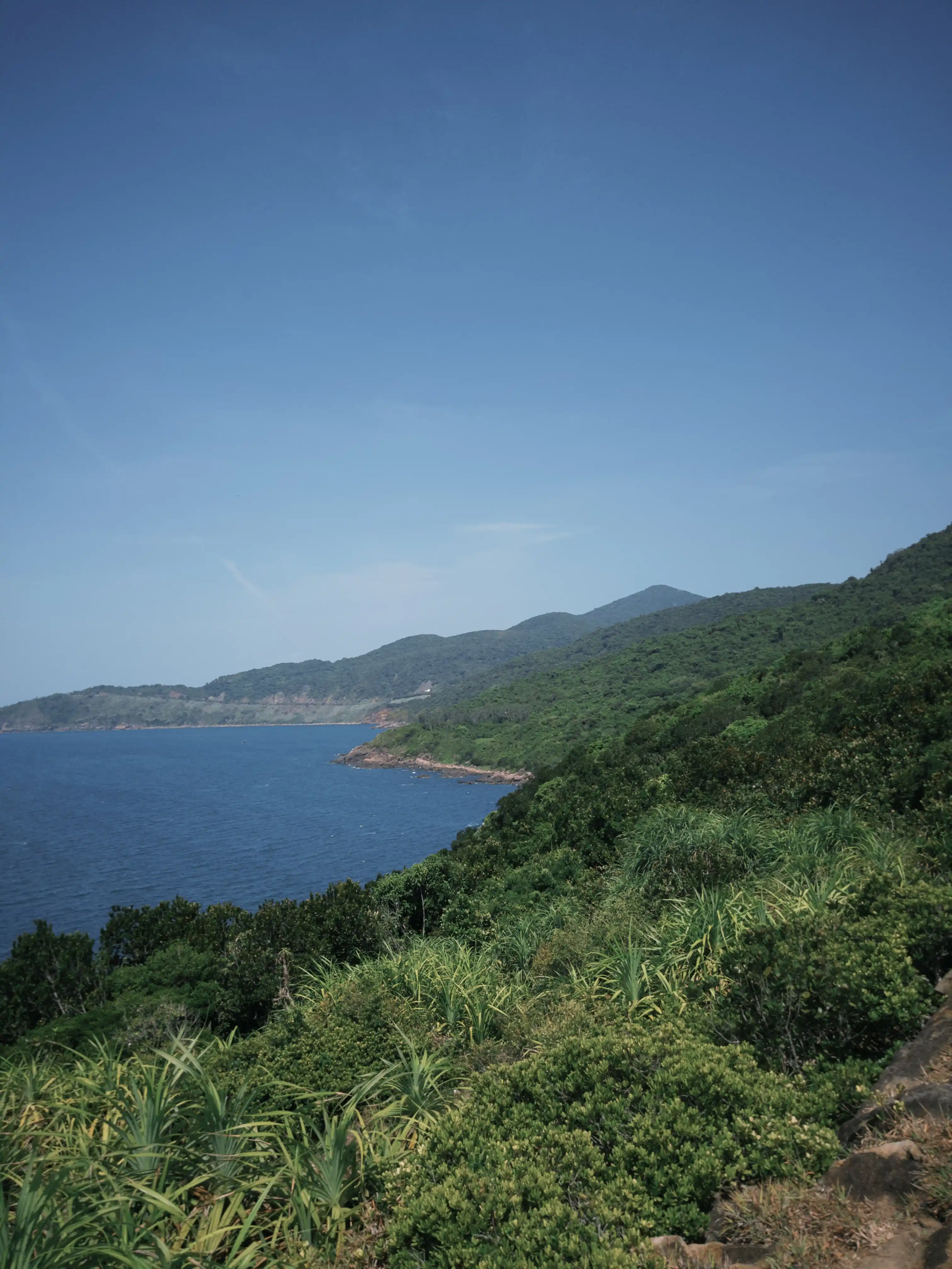 Son Tra Peninsula (Ancient tree + Peaceful Bay) — photo 20