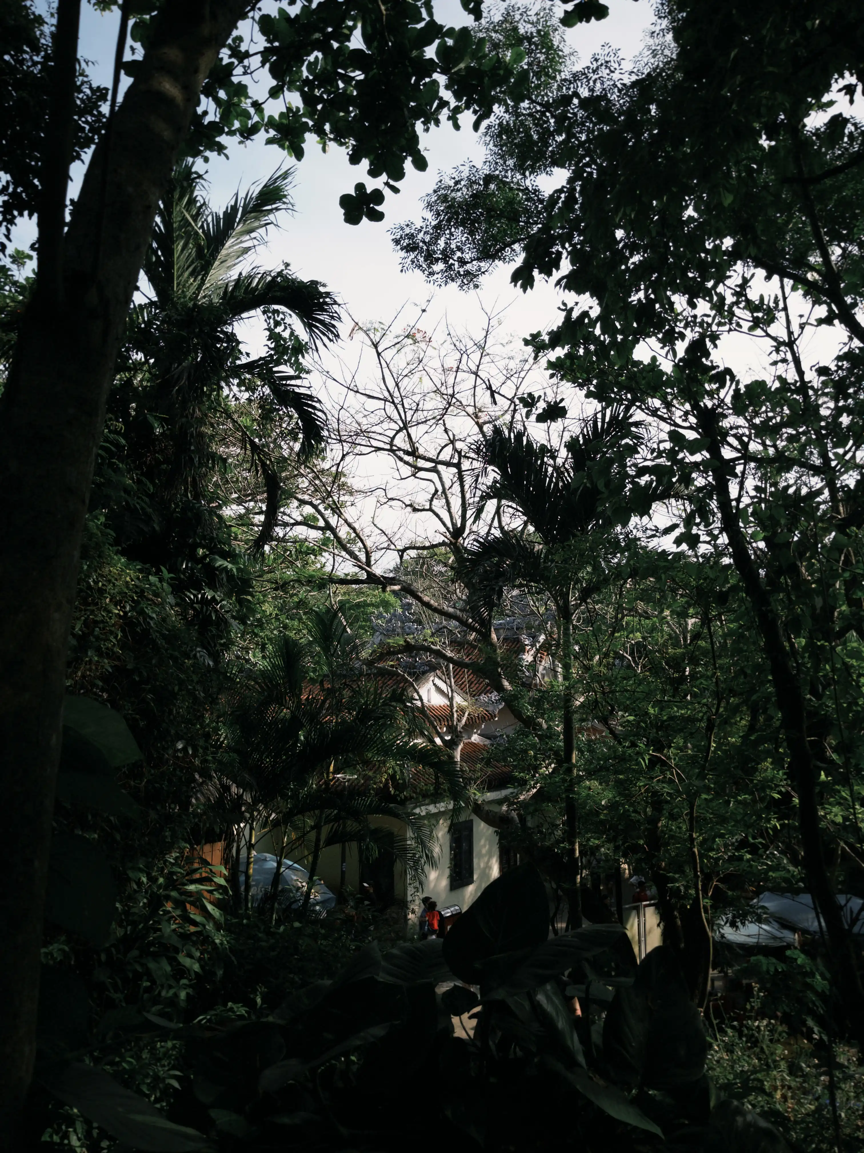 Mable Mountain + Son Tra Peninsula (sunset & city view at night) — photo 9