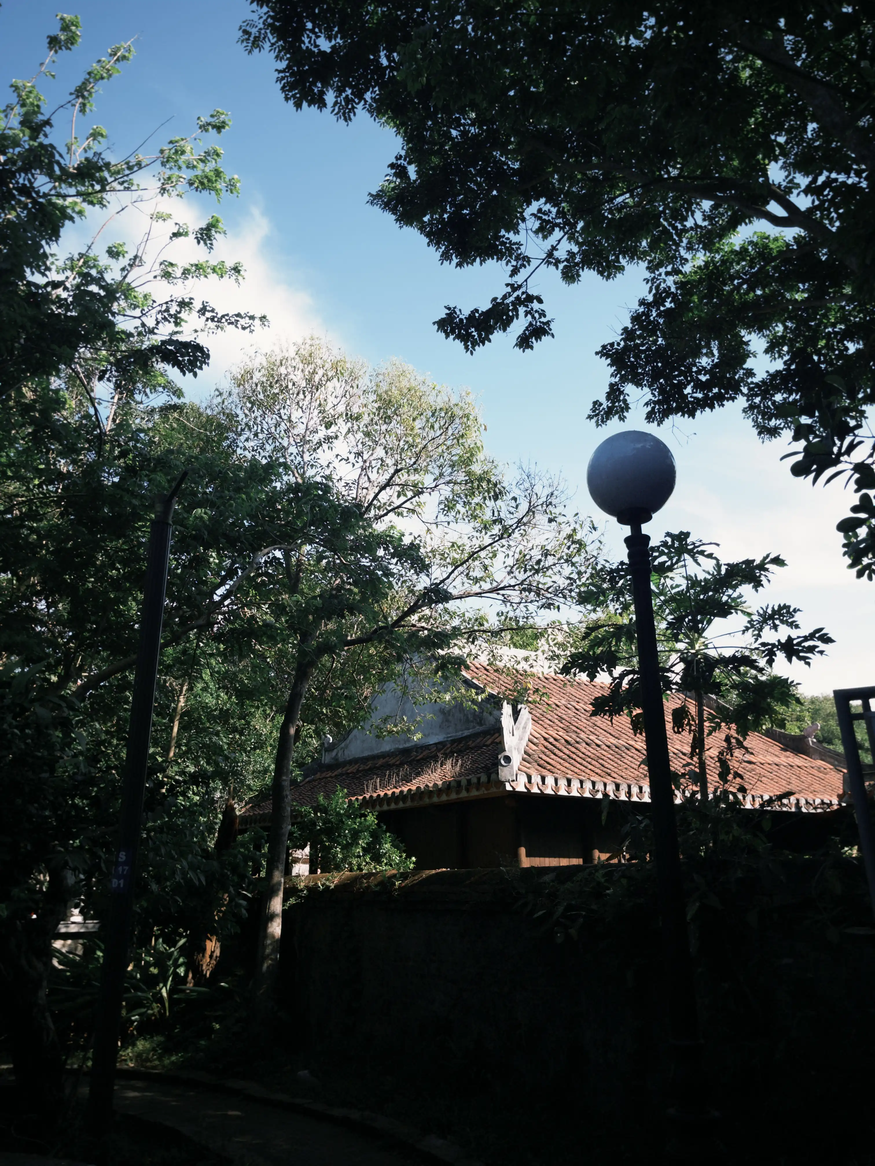 Mable Mountain + Son Tra Peninsula (sunset & city view at night) — photo 34