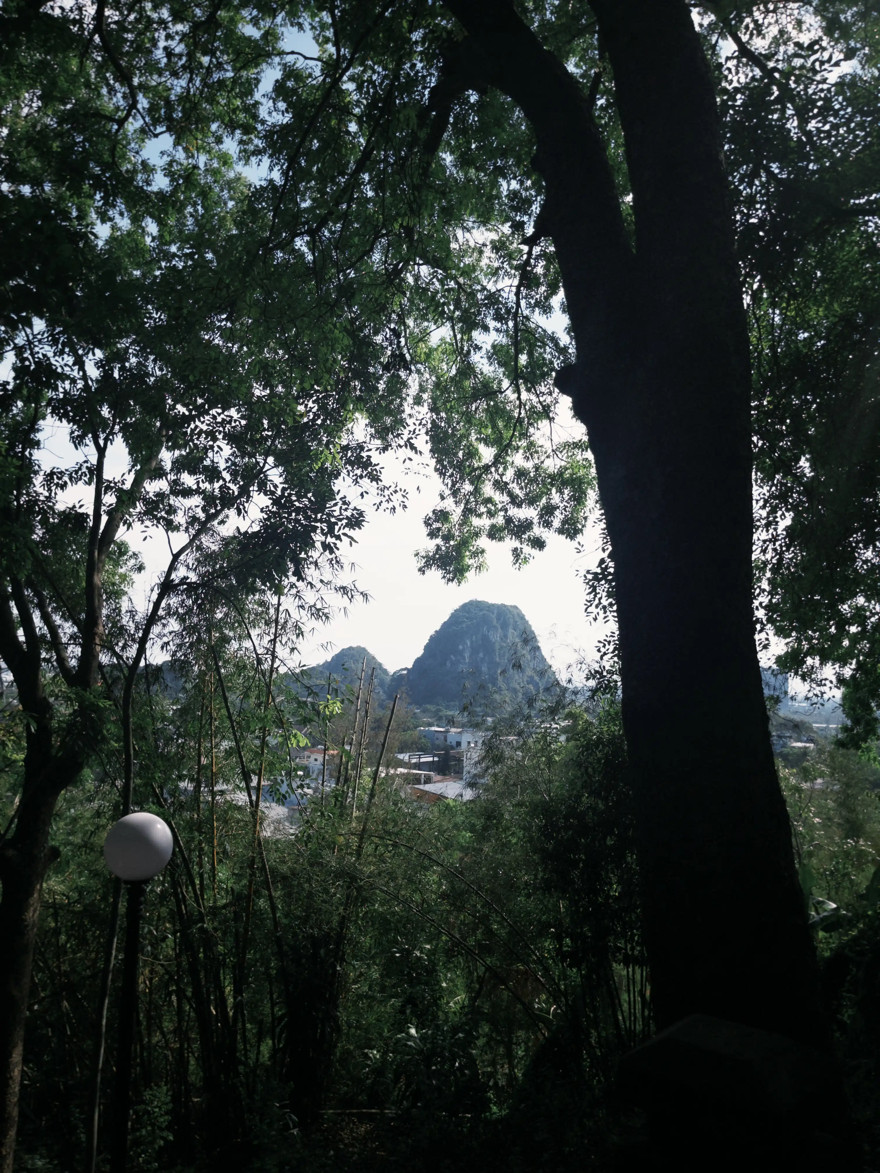 Mable Mountain + Son Tra Peninsula (sunset & city view at night) — photo 38