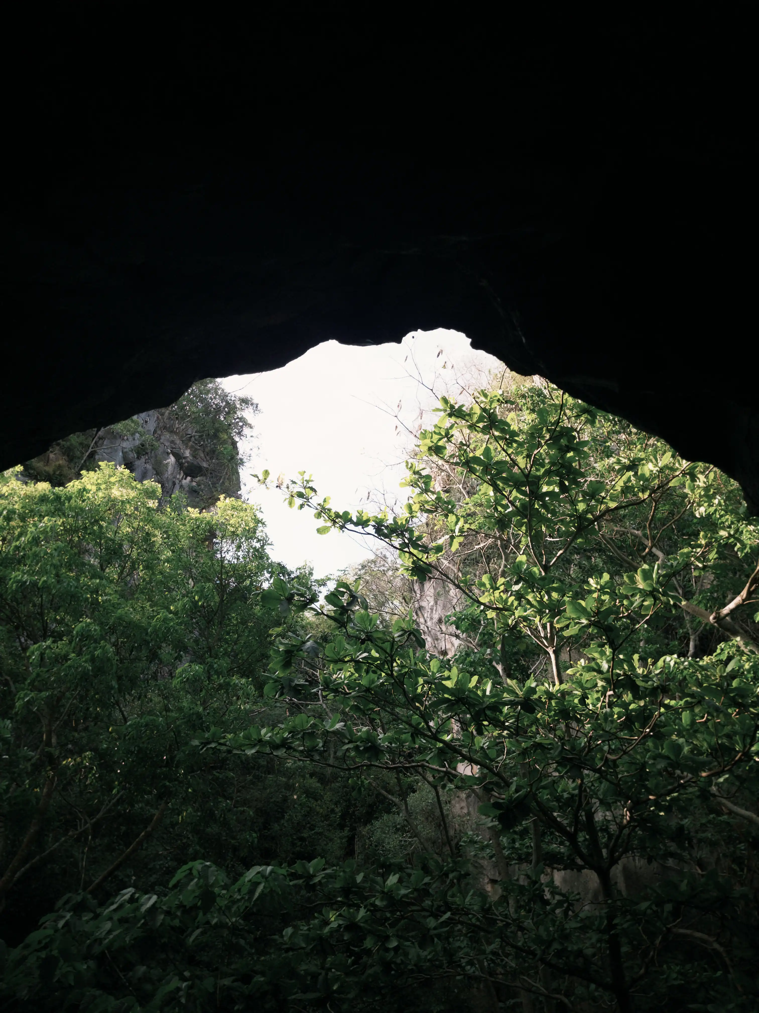Mable Mountain + Son Tra Peninsula (sunset & city view at night) — photo 42